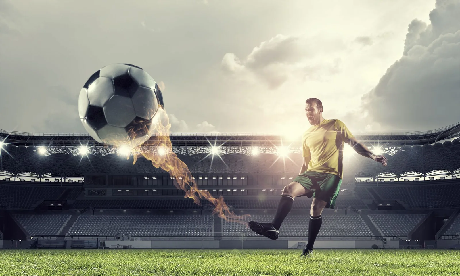Visual arena olahraga untuk pengalaman PANEN77